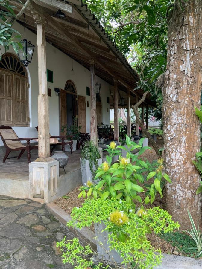 Lali Villa & Fruit Garden Galle Eksteriør billede