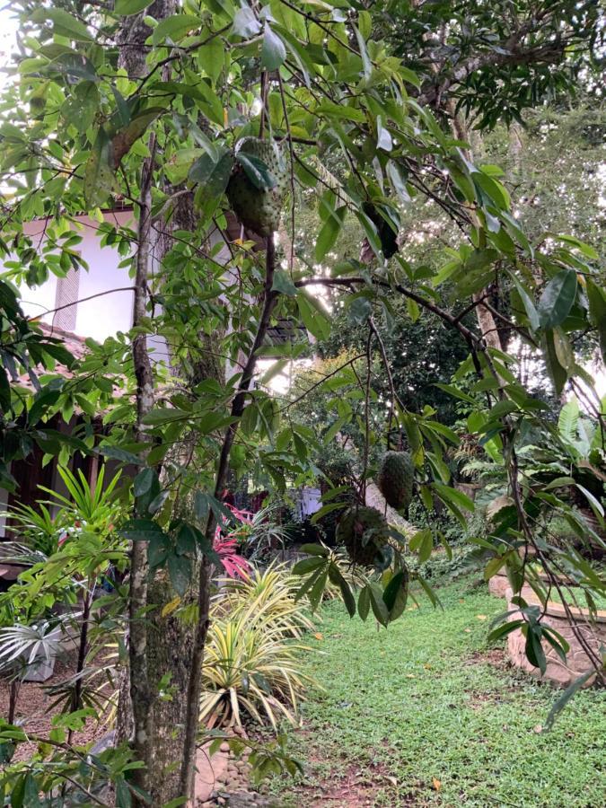 Lali Villa & Fruit Garden Galle Eksteriør billede