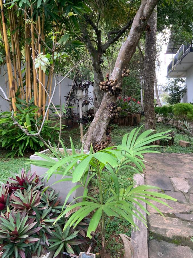 Lali Villa & Fruit Garden Galle Eksteriør billede
