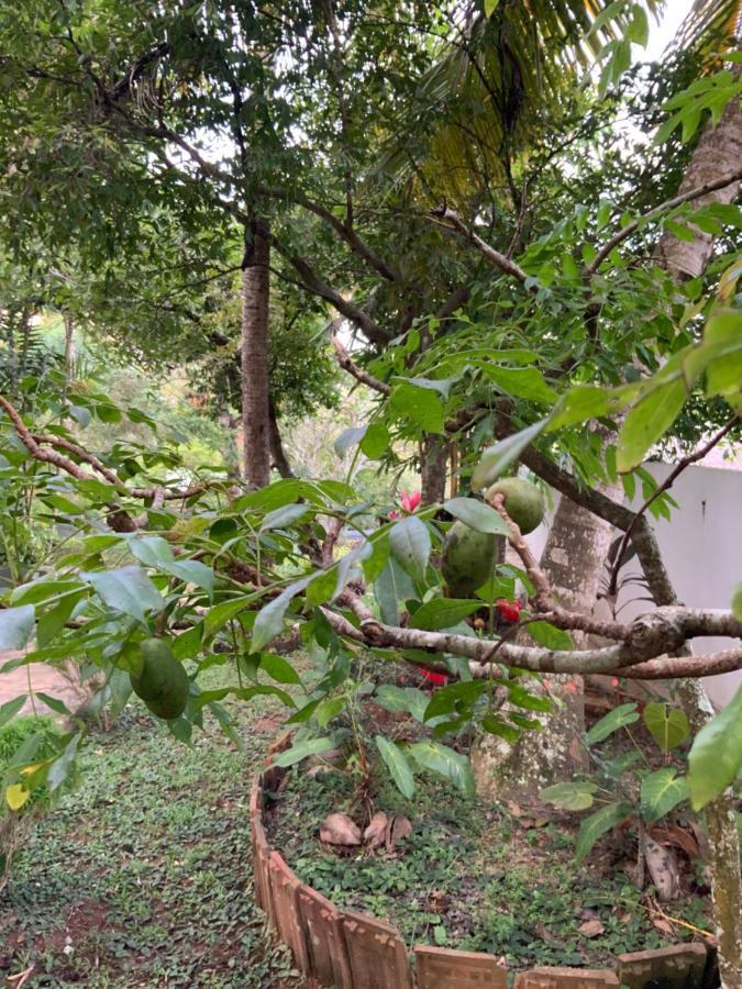 Lali Villa & Fruit Garden Galle Eksteriør billede