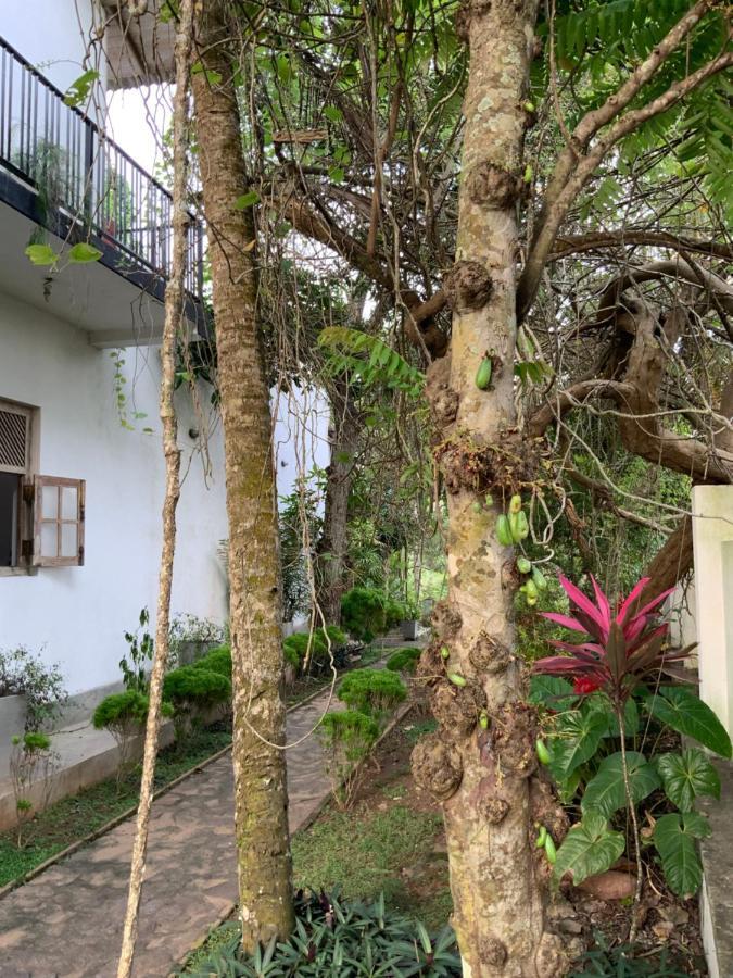 Lali Villa & Fruit Garden Galle Eksteriør billede